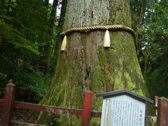 箱根日帰り散策