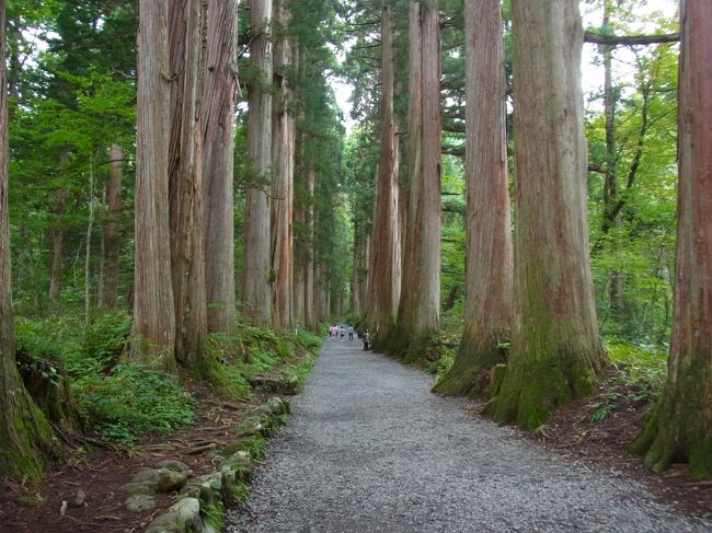 戸隠神社へ<br />大宮から新幹線にて長野へ<br />善光寺→戸隠神社→軽井沢（トンボの湯）→帰路へ<br />また、朝から夜までコース。でも新幹線なので寝れます(笑)