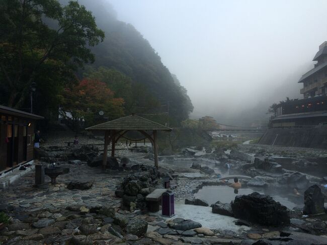 パパさんの提案でどこか温泉旅行って事で決まった湯原温泉の決め手は息子の食事。<br />1歳6ヶ月の離乳食完了期の息子に手作り幼児食を出してくれる宿を近畿から1泊2日で行ける範囲で探した結果、手作り幼児食ありでウエルカムベビーの宿とかもあったが大人の料理が美味しそうなのと露天風呂付きの部屋があったので湯原温泉の八景さんに決定。<br /><br />軽く体験・おいしい食事・綺麗な景色を楽しめた満足できる旅になりました。<br /><br />記録　パパ・ママ・長男1才6ヶ月