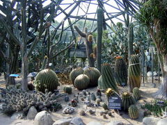 如美地植物園（ヨミチシンムルウォン）に行ってきました。　　韓国　済州島編　　２０１０年９月１７日