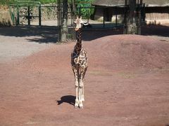 ２０１４年ぐるっとパス第五弾　多摩動物公園