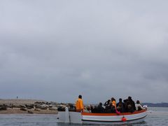 イングランド　～ Morston, Burnham Overy イングランドで見る野生のアザラシ