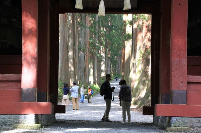 紅葉にはまだ早いこの時期、一足早い秋を見つけに信州の秘境見学にクラブツーリズムのツアーで出かけてきました。<br />今回のコースは、<br />9月21日関西を出発し、浦島太郎伝説の寝覚めの床、御嶽山の裾野に広がる太古の森が広がる油木美林、巴淵見学後松代ロイヤルホテル泊。<br />9月22日は戸隠神社の5社の内、奥社と九頭龍社、中社の3社を参拝し戸隠森林公園、鏡池を散策して帰宅の予定。<br />ツアー会社のパック旅行には今まで何度も行きましたが、今回はいろいろなことを初めて体験しました。<br />自然たっぷりの油木美林、戸隠森林公園、パワースポットの戸隠神社。<br />今回の旅でリフレッシュして、明日からの仕事も頑張っていけそうです。<br />今回はツアー2日目の戸隠神社の参拝と戸隠森林公園の散策を紹介します。<br />2日目の天気予報は晴れだったのに、戸隠地方は曇りだったのが残念でしたが、たっぷりと自然の力をいただいてきました。<br /><br />