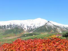 日本一早い紅葉（旭岳編）