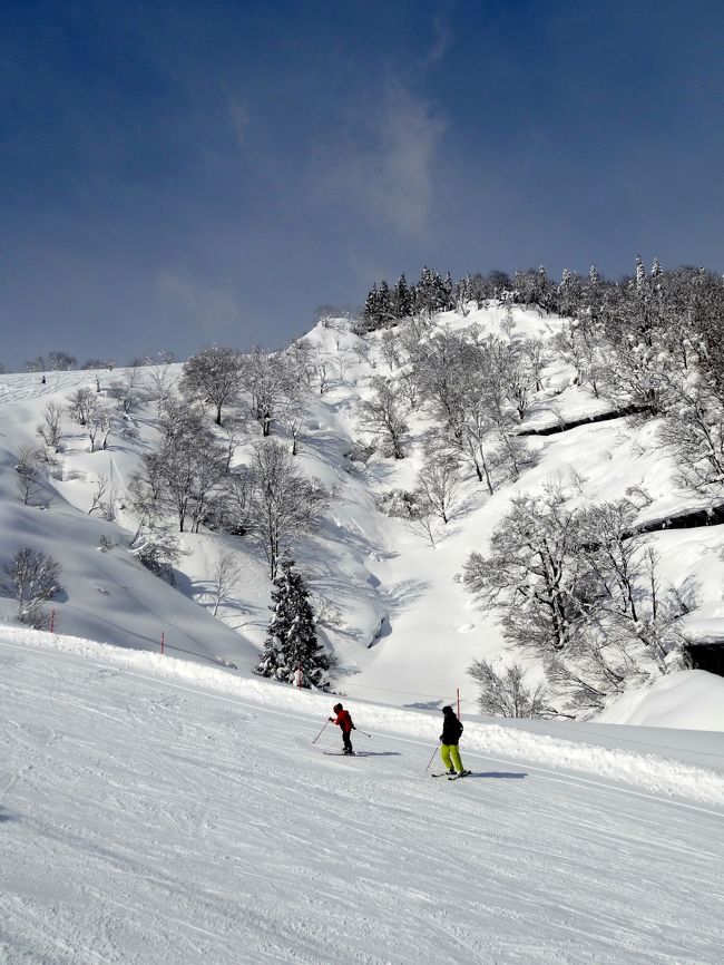 We went ski trips 2 times to Yuzawa this year. I am not so good at steep parts (too scared of steepness and height), here is  not so bad. Gentle for beginners. And easy access from Tokyo and not bad snow.