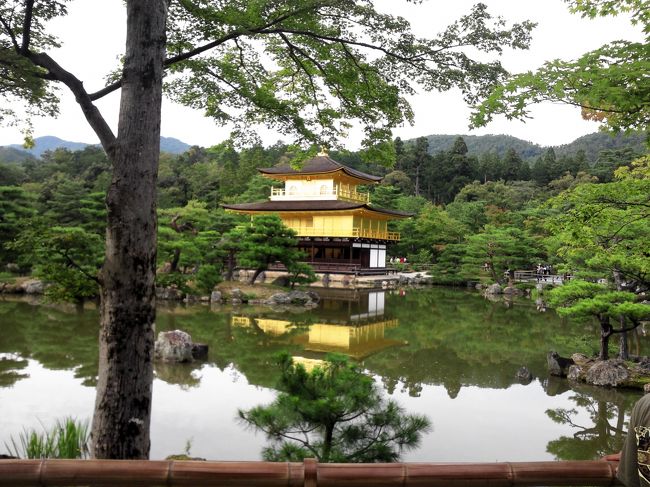 関西は高校の修学旅行で訪れて以来数十年ぶりの訪問になります。<br /><br />当時、清水寺や平等院など行ったのですが、記憶も薄れほとんど憶えていません(笑)<br /><br />今回は妻と義姉夫婦の４人で行ってきました。<br /><br />１日目<br />新千歳空港⇒関空　義姉夫婦と関空で合流。<br />通天閣、大阪城、道頓堀でグリコのネオンサイン見学<br />夕食後京都に移動<br /><br />２日目<br />清水寺、東映太秦映画村、金閣寺、嵐山訪問。その後大阪に移動<br />ＵＳＪオフィシャルホテル泊<br /><br />３日目<br />終　日　ユニバーサルスタジオジャパン<br />ＵＳＪオフィシャルホテル泊<br /><br />４日目<br />午前中　ユニバーサルスタジオジャパン<br />午　後　関空から空路北海道へ<br />