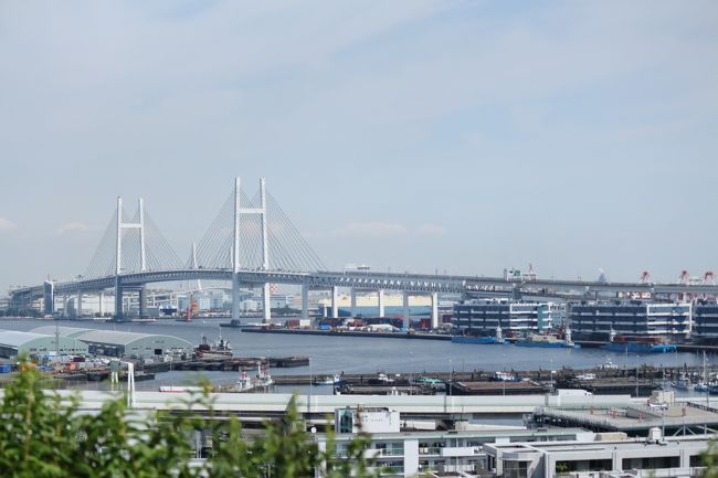 今年の秋分の日は写真教室の撮影実習で横浜「港の見える丘公園」へ行きました。<br /><br />秋晴れというにはちょっと暑いぐらいの一日。<br />港の見える丘公園は秋の花がまた春とは違った彩りを見せていました。<br /><br />いつも撮影実習の後に居残り、一人歩きするのを楽しみにしている私。この日も山手地区の西洋館巡りマップを準備して来ました。<br /><br />ところが実習終了後、一旦みなとみらいへ移動して仲良しメンバーとお昼を食べながら楽しくおしゃべりしたらほっこりしてしまい、一人引き返すのが億劫になって来ました。<br /><br />いけないいけない。千葉県に住む私。横浜へ出て来る機会はそう多くありません。また出直すとなると大変です。この日夫は大阪。ちょうどいいチャンスです。気を強く持ち、「私は残るから」、みんなに宣言して、昼食後一人「港の見える丘公園」へ戻りました。<br /><br />同じ場所を歩いていても、撮影実習で回るのと一人で心行くまで観光しながら回るのと、見えるものが違います。公園散策と西洋館巡り。夕方まで歩き回りました。実に有意義な秋分の日のお出かけになりました。<br /><br />〜＊〜＊〜＊〜＊〜＊〜＊〜＊〜<br /><br />横浜市山手の西洋館：<br /><br />　【　場　　所　】　と　「邸宅の名称」<br /><br />【港の見える丘公園】　★「横浜市イギリス館」<br />　　　　　　　　　　　★「山手111番館」<br />【元町公園】　　　　　★「山手234番館」<br />　　　　　　　　　　　　「エリスマン邸」<br />　　　　　　　　　　　★「ベーリック・ホール」<br />【イタリア山庭園】　　　「外交官の家」<br />　　　　　　　　　　　　「ブラフ18番館」<br />【山手公園】　　　　　　「山手68番館」　　<br />　　　　　　　　　　　　「テニス発祥記念館」<br /><br /><br />この中から私は★印の４つの西洋館を見学しました。