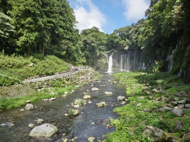 今まで行ったことがなかった静岡県側からの富士山ろく巡り。<br />朝霧高原って、どういうところ？<br />ダイヤモンド富士で有名な田貫湖は？<br />白糸の滝って、どういう風に見えるの？<br />そんなことで、この夏行ってきました。<br /><br /><br />まず最初は、白糸の滝へ…