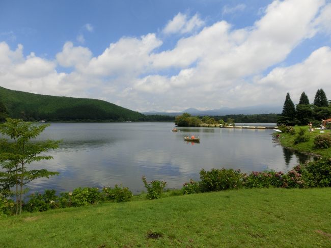 今まで行ったことがなかった静岡県側からの富士山ろく巡り。<br />朝霧高原って、どういうところ?<br />ダイヤモンド富士で有名な田貫湖は?<br />白糸の滝って、どういう風に見えるの?<br />そんなことで、この夏行ってきました。<br /><br />二番目に向かったのは、田貫湖です。