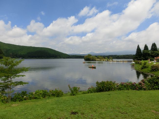 今まで行ったことがなかった静岡県側からの富士山ろく巡り。<br />朝霧高原って、どういうところ？<br />ダイヤモンド富士で有名な田貫湖は？<br />白糸の滝って、どういう風に見えるの？<br />そんなことで、この夏行ってきました。<br /><br />二番目に向かったのは、田貫湖です。