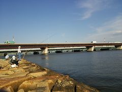 十三・淀川河川敷での野鳥観察・淀川での魚釣り
