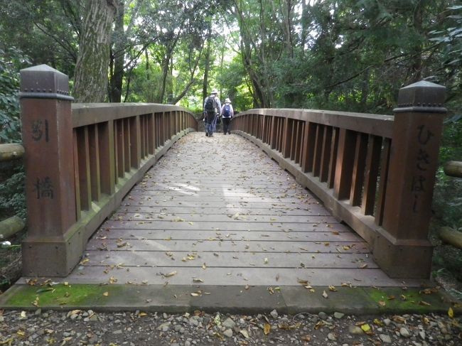 ＪＲ八王子駅北口から歩き始めました、最初に都立小宮公園へ、八王子駅の北にある標高約１６０ｍの丘陵地にある雑木林の公園、整備された遊歩道を雑木林とお花を見ながら散策、ここから八王子ＩＣ方面に歩き、高台にある宗徳禅寺に寄ってから昼食と休憩を兼ねて道の駅八王子滝山に、ちょっと狭い道の駅ですが、平日ですのでゆっくり出来ました。<br /><br />午後からは、多摩川に近い滝山城址のある丘、都立滝山公園へ、国指定の史跡滝山城址を散策、整備された散策路を歩いたり、周辺を眺めたりして過ごした後は圓通寺まで歩き参拝の後、路線バス利用で拝島駅へ。<br /><br />天候は歩くのには良い状況でしたが、遠くの山々までは見ることはできませんでした、大都市八王子の郊外の自然を満喫しました。