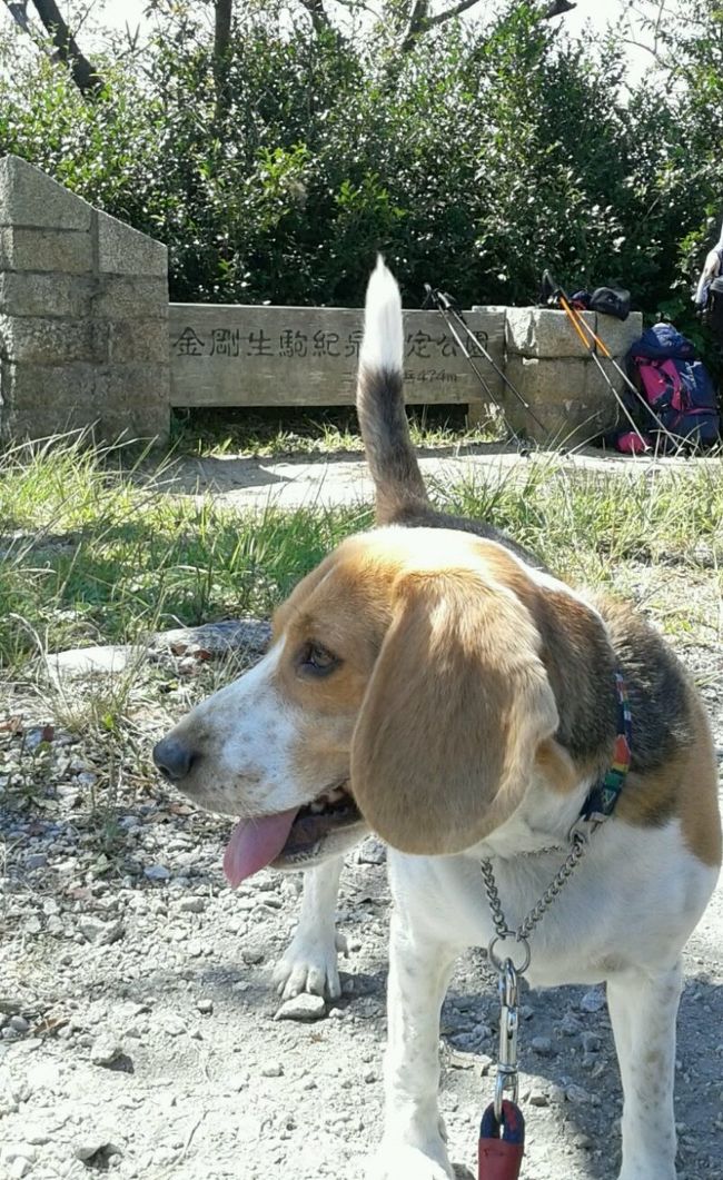 奈良　二上山登山　愛犬とともに