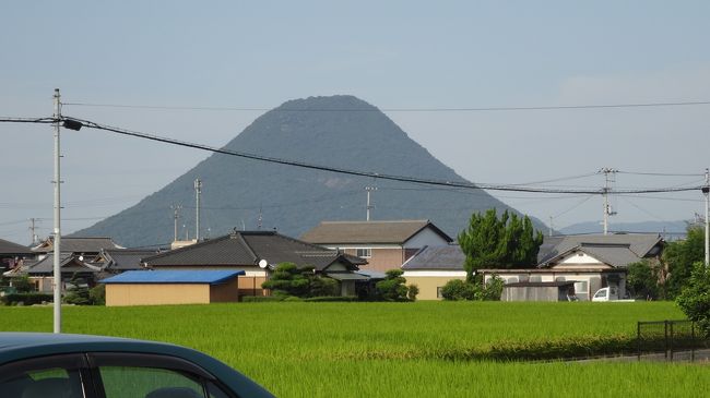 鳴門→（高速道路）→善通寺ＩＣ→「香の香」（善通寺市金蔵寺町）→四国八十八箇所第７６番札所 鶏足山 金倉寺→<br /><br />飯野山→「山下」（善通寺市与北町）→善通寺ＩＣ→（高速道路）→鳴門<br /><br /><br />謎の山に登る！<br />これまで，高速やＪＲで横に観たことはある<br />富士山に似た山容<br /><br />どんな山か？　すっごく興味があった山に，今日，登ってきました (^ ^)v<br /><br />まずは，腹ごしらえは，うどん県の定番<br />「香の香」（善通寺市金蔵寺町）　釜揚げ大とおはぎをいただく<br /><br />次に，近くにある四国八十八箇所第７６番札所 鶏足山 金倉寺　にも詣でる<br /><br />　寺に車をとめると２００円要るが，うどん屋ならタダ　歩いても５分と，かからない<br /><br />そして，いよいよ讃岐冨士こと飯野山（いいのやま）へ<br /><br />麓の野外活動センターに車を置いて<br /><br />一応，山歩きとフィールド用服装に着替えて，登り出す<br /><br />さすがに，富士山に似た山　何合目という看板がある<br /><br />そして，思いがけず，アサギマダラに出逢う<br />　７合目で♂２頭　キク科の花で吸蜜中<br />　９合目で♂３頭　アサギの好きなヒヨドリバナも生育している<br />アサギの南下の波は，香川にも及んでいるんだ<br />９合目では，「白色タオルぐるぐる回し」で，林間を飛ぶ２頭を引きつけゲット！<br /><br />平地となった頂上は，山道に比べ　何か物足りない風景<br />周りを木々に囲まれ，三角点と石碑と真言宗の奥の院がある<br /><br />石碑前の草地に，ヒョウモンが１頭飛んでいた<br /><br />帰りは，「山下」（善通寺市与北町）で遅い昼食<br />かけうどん大をいただく<br /><br />フム，今回，うどん探索の旅も兼ねたが<br />伸びたうどんとか，普通の味で・・・　ちょっとがっかり<br />「うどん県」を応援しているだけに・・・ (^_^;;<br /><br />最後は，「山下」から観た讃岐冨士　・・・　やっぱり，いい姿形だ！<br />