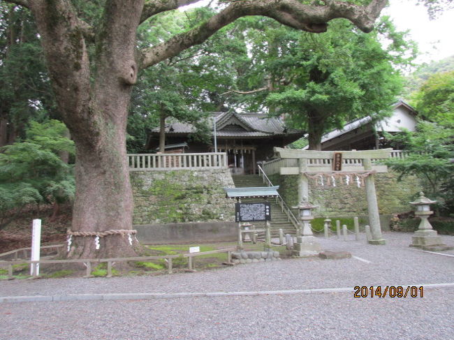 元小結竜虎が３日前この町の神社で急死した。７４歳。以前病気回復をその宮に願い、その日は家族４人でお礼参りに来た矢先の急死だった。嘗て大相撲を沸かせた花籠部屋の関取の一人だった。３か月前には同じ花籠一門の魁傑が６６歳の若さで急死し、引き続いての相撲界の訃報だった。<br /><br />仕事が予定通りに終り、竜虎の霊を弔うべくその宮に参詣しようと、地元の人に聞いてみたが、詳しいことは知らない。相撲に興味の無い人にとっては、３０年以上も前の相撲取りの名前を言っても、ピンとこないのかも知れない。元力士がこの町で急死したことはニュースで知っている程度で、それ以上の詳しいことは知らなかった。当方もこの町の由緒ある神社で亡くなった程度の知識しかなかった。<br /><br />地元の人に有名社寺の名前を幾つか挙げてもらい、２番か３番目に「ことのまま八幡宮」という名前が出た時に、確か、「八幡宮」だったことを思い出し、そこへの行き方を尋ねた。そこは市の外れにあり、隣町の島田市との市境にある不便な場所にあるとのことだった。しかしバスの便があるとのことで、市バスへ電話し確認してくれた処、間もなくこの近くのバス停を通過する予定になっている、とのことだった。<br /><br />教えてもらったバス停に急ぎ、待つこと暫らく、市バスがやって来た。旧東海道と思われる郊外の田園地帯を走ること凡そ３０分、白旗の幟の立ち並ぶその神社前の停留所に着いた。「ことのまま八幡宮」、バス停を下り、神社の鳥居の前に立つ石柱を見て、この神社の名前「ことのまま」は漢字では「事任」と書くことが理解できたのだった。成程、何かを「任せる」ということは、「そのまま」やらせる事なのだ。<br /><br />ここは旧東海道の日坂の手前。ここから先大井川までの数里に及ぶ日坂の始まりの地点に当たる。「八幡宮」と言うからには、源義家に所縁のある宮だ。八幡太郎義家が東北遠征に際し、この宮に先勝祈念をし、後、八幡宮に名前を改められたに違いない。この日坂はその先の坂東、更に続く陸奥への鳥羽口に当たっていたのだった。<br /><br />槇の大木が鬱蒼と茂る深い木立の先に由緒と長い歴史を思わせる社務所と社殿があり、社務所の前の石段を十数段登った高みの場所に拝殿がある。宮に参拝し、併せ、竜虎の霊を弔った。社務所に戻り、竜虎が亡くなった場所を尋ねると、道路の反対側の奥宮への参道の入口付近とのことだった。<br /><br />バス停で帰りのバスの時間を確認すると次のバスまで猶３０分程の余裕がある。奥宮までどれ位の距離なのか、どれ位深い場所にあるのか先刻の巫女に聞きそびれてしまったが、行ける所まで行って見よう。時間が足りなくなったら、途中から戻れば良い。旧東海道を渡った先の斜面には小さな赤い鳥居が建っていて、小山の奥に向かって参道が続いている。その鳥居の前で一礼し、竜虎の霊を弔い、奥の院に続く参道を急ぎ登った。<br /><br />竜虎は数年前大病を患い、病気回復を願ってこの宮にお参りした。病もほぼ平癒し、三日前、家族４人でお礼参りに来たのだった。この奥宮にもお参りすべく、４人で登り始めたが、家族３人は先に奥宮に登ったが、竜虎一人がやってこない。長男が下に降りて戻ってみた処、竜虎が鳥居の脇で倒れていたという。既に心筋梗塞で亡くなっていた。<br /><br />途中からは山道のようになる奥宮。標高は５０ｍ位か。早足で登って来たので、１０分程度の時間しかかからなかった。３０坪位の平らな場所に小さな祠が建立されている。竜虎はここへ来て病気回復をお礼したかったのだ。竜虎の思いは果たせなかったが、竜虎に代わり礼拝し、下山する。<br /><br />帰りのバスも乗客は一人だった。市に近づくにつれ何人かの乗客が乗り降りするが、それでも４−５人程度だ。今の時間、運行が１時間〜２時間に１本と言うのも理解できる。市営だからこそ経営が成り立っているのだろう。来た時と同じドライバーが、この「事任八幡宮」の一つ先の終点で時間待ちし、Ｕターンしてきたのだ。しかしこうしてバス便があると言うのは、足の無い住民にとっては有難いことだ。<br /><br />相撲取りは早死にが覆いと言われる。現役時代、過酷な運動が身体を痛め、後になって出てくるのだろう。魁傑の６６歳は、今の自分よりも若い。竜虎が引退後に名乗った親方名「放駒」を竜虎より引き継ぎ、相撲界の賭博や八百長の不祥事が公になった後の理事長に就任し、角界の浄化に努め、去年理事長を退任した。<br /><br />魁傑はオランウータンのような長い腕を振り回し、相手の力士を放り投げた。竜虎はその名前の通り、素早い動きと切れのある技で、土俵を沸かせた。二人とも、花籠一門の人気力士だった。遠い昔の土俵の歓声を思い出しつつ、一人バスに乗り、掛川駅に向かった。