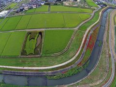 ２０１４空撮 ｉｎ 矢勝川彼岸花