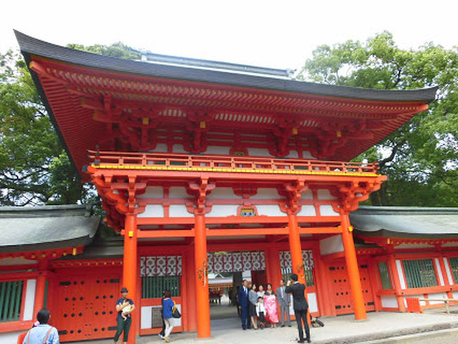 神社巡りをしてきました（●´∀｀）<br />大宮の「氷川神社」。<br />新婚さんのご家族がたくさん<br />いらっしゃいました。ﾟ+.ﾟヽ(●´ω｀●)ﾉ。<br />まだ、赤ちゃんを抱いているお婿さんもいて、<br />非常に、微笑ましかったです・・☆彡