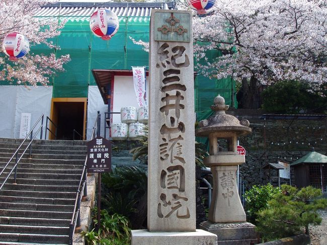 夫婦で青春切符を利用して紀三井寺の花見と湯浅町の街歩きをしてきました。