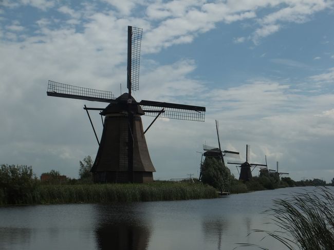 2014夏オランダ・ベルギーの旅④～風車の残るキンデルダイクとロッテルダム＠ヒルトンホテル