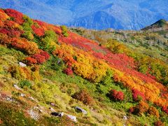 2014.9 日本一早い紅葉＆雪山縦走＆満開のひまわりと四季を巡る旅②…紅葉の赤岳から黒岳まで雪山縦走