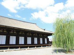 三十三間堂、豊国神社、方広寺、智積院、大徳寺。 京都市内のお寺を巡ってきました。