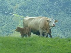 スイスパスで巡るスイス一周の旅【６】氷河特急（8/22）