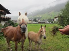 2014年オーストリア・イタリアの旅　№13 　＊＊＊雨の Elferhuette ～帰国へ＊＊＊