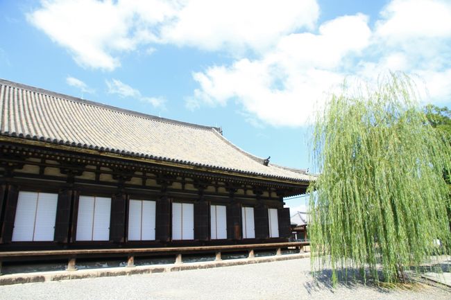 三十三間堂、豊国神社、方広寺、智積院、大徳寺。<br />京都市内のお寺を巡ってきました。<br /><br />三十三間堂<br />本堂内陣の柱間が３３あることから命名されました。<br />正式名は蓮華王院で、平安時代、後白河上皇の勅願により建立され、<br />国宝の千手観音菩薩坐像一体を中心に左右５００体ずつ前１００１体の千手観音菩薩を祀っています。<br />１００１体もの観音菩薩像。思わず立ちつくし、見入ってしまうほどです。<br />感動的です。<br />前面に並ぶ２８部衆、風神、雷神像も素晴らしいです。