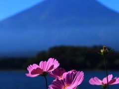 山梨　初秋の富士山　2014