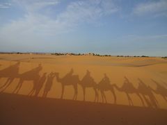 NO.７/11 カタール航空ビジネスクラス利用/砂漠のホテルに泊まる モロッコ世界遺産の旅11日間