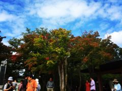 秋晴れ！高尾山で楽しい山歩き！