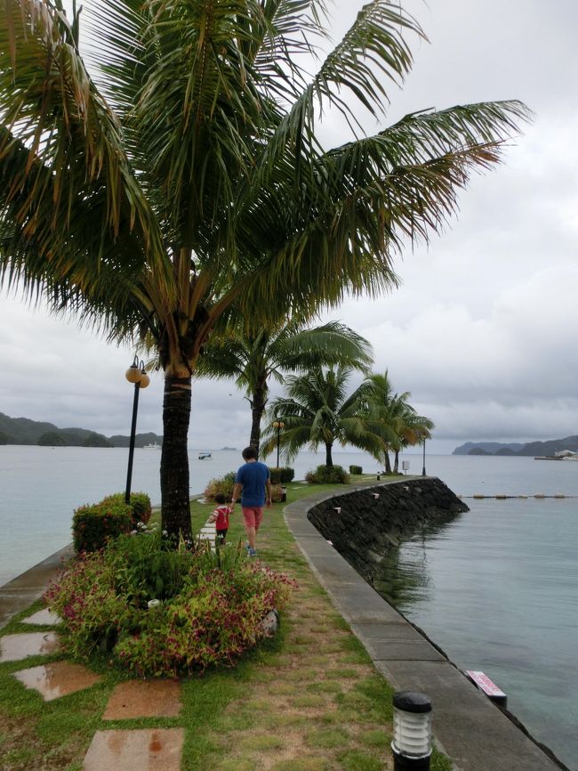 パラオ最終日は雨季らしい天気。<br /><br />ビーチにもプールにも入る気はしないし、街でお土産を買ったりのんびり過ごすことにしました。<br /><br />☆今回の妊婦旅point☆<br />出発前に…<br />・現地の医療機関を調べておく(子連れは小児科のチェックも忘れずに)<br />・主治医に相談(賛成するお医者さんと絶対反対なお医者さんがいますが;)<br />・妊婦でも入れる&amp;補償が利く海外旅行保険への加入(AIUが22週未満までok)<br /><br />【2014年夏・パラオ旅行日程】<br />航空会社：ＪＡＬ(チャーター便Ｙクラス、特典航空券)<br />宿泊ホテル：パラオロイヤルリゾート(HPから予約)<br />日目：成田20:55→コロール1:30<br />2日目：ホテルでのんびり　昼食/ホテル内レストラン　夕食/JIVE<br />3日目：ホテルでのんびり　昼食/Drop off Bar&amp;Grill　夕食/Coconut Terrace Restaurant<br />4日目：ロックアイランドツアー参加　夕食/Little Beijing<br />5日目：街へお買い物＆ホテルでのんびり　昼食/keanos　夕食/Elilai<br />6日目：コロール3:00→成田7:30<br /><br /><br /><br />