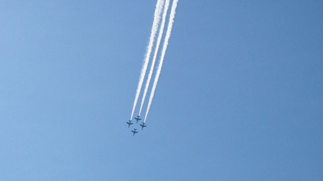 大阪を5時に出て、23時に帰宅。<br />浜松基地での滞在は2時間30分。ブルーインパルスを見に行ったのだが、物凄く暑かった。<br />それ以外は移動と言うか渋滞との戦いだった<br />何でも60周年とかで、例年よりも更に激混みだった。