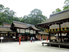 日本の神を覗く旅路・第２部記紀にお出ましにならない神々08下鴨神社