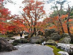 紅葉の洛北　３（光悦寺から大覚寺へ）