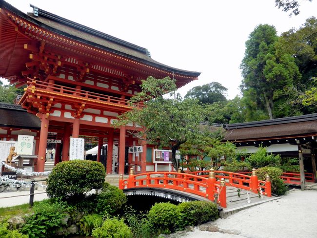 日本の神を覗く旅路・第２部記紀にお出ましにならない神々10上賀茂神社その２本殿