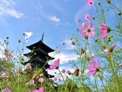 鷺（サギ）の備中国分寺