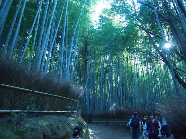 大好きな街、京都の観光地めぐり2日目<br /><br />今日は嵐山へ行く日。<br />嵐山へ行くのは小学校以来。ワクワクします。<br /><br />今回も、青い京都をテーマに撮影してみまいた。