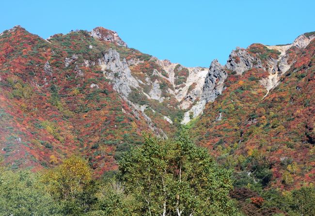 連日の朝晩の冷え込みで那須山の紅葉が始まったようです。今年は幸いに台風の被害も少なくて綺麗なようです。<br />週末の混雑を避けて向かいました。でも家を出るのが遅くなってしまい、ロープウェー周辺の駐車場は既に満杯でしたが平日なので渋滞も無く上まで行き着けました。<br />手軽に登山を楽しめる1.900ｍ級の山なので登山客が多いですね。<br />地元では幼稚園の時から登山するので、私達も何度も登った大好きな山ですね(´∀｀*)<br />色々なコースで初心者から上級者まで楽しめますが、風の影響を受けやすくて天候次第では怖い思いをします。<br />本日は晴天なり～楽しい登山になるでしょうね。