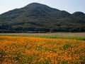 たつの・揖保川・御津の旅行記