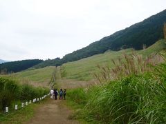 箱根・仙石原へススキの競演を見に行こう！   ② ススキ草原