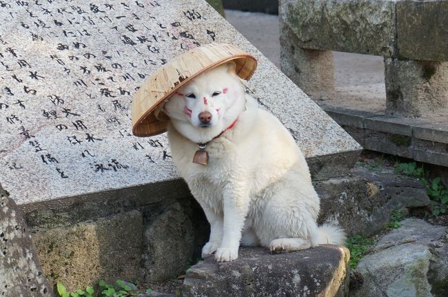 『二週連続飛騨古川で初めてのきつね火祭り♪コン！【1日目その2 飛騨古川祭りの序章編】』飛騨高山・古川 岐阜県 の旅行記・ブログ By なお