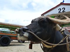 ♪八重山バカンス♪那覇ー石垣島ー西表島（由布島）ー小浜島2/2