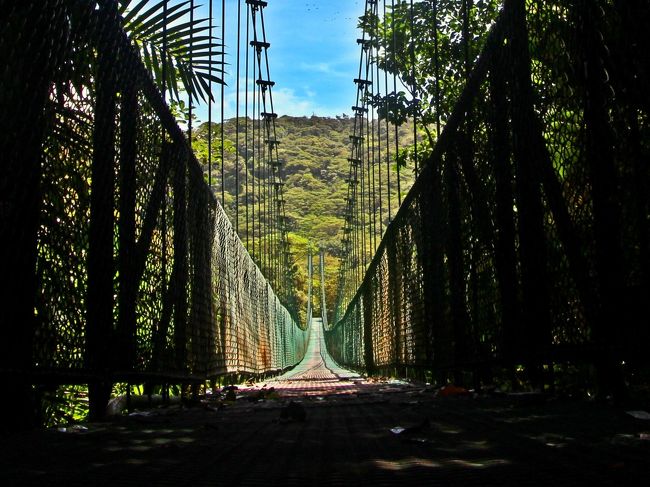 地上60ｍの空中回廊；Tree Top Walkwaysを歩く／闇に輝く双の瞳【2014夏 コスタリカ冒険譚 7／モンテベルデ編】