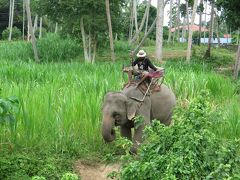 Koh samui 2014!～3歳児連れてのサムイ旅～Part2