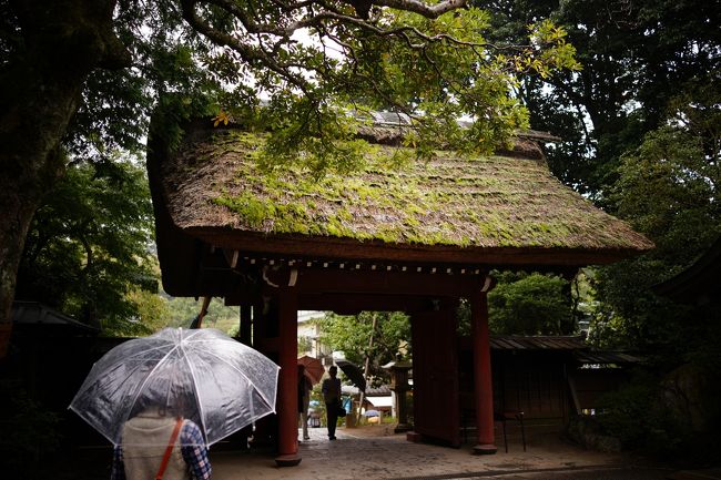 『35mmでいく東京散歩』　調布市・深大寺　陸の孤島はそば天国でした！