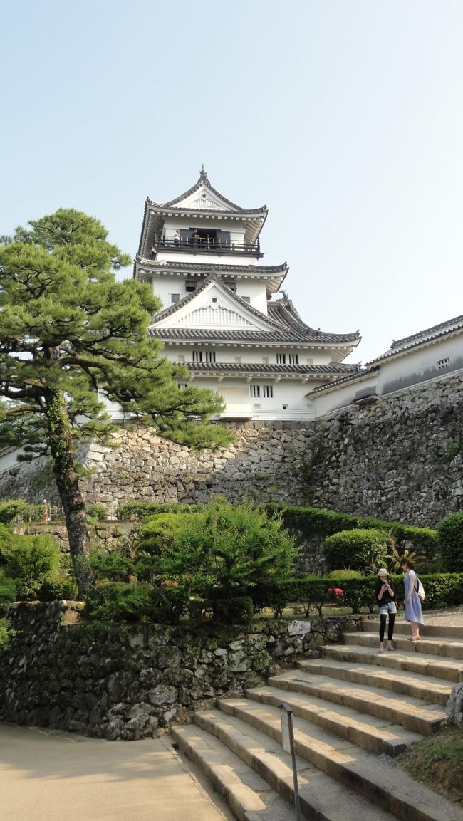 山内一豊の築いた高知城に登る