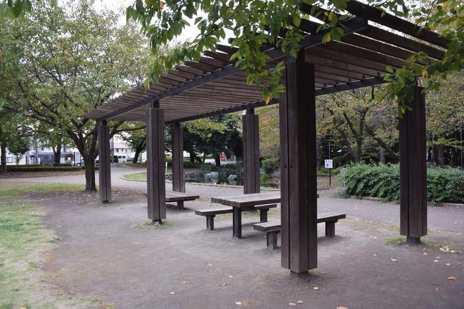 自転車で市内の米の宮公園と米の宮神社まで行って来ました。<br /><br />★富士市役所のHPです。<br />http://www.city.fuji.shizuoka.jp/<br /><br />★米の宮神社の紹介ページです。<br />http://iiduna.blog49.fc2.com/blog-entry-71.html