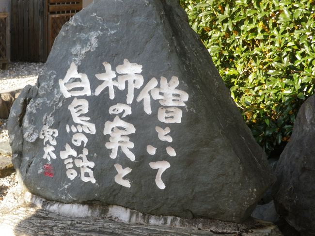 秩父音頭と俳句の町・秩父皆野で地元の俳人金子兜太の句碑めぐりをしました、秩父鉄道皆野駅から歩き始めました、駅前のバス停附近にある秩父音頭家元の碑を見て、金子兜太の実家、金子医院に寄ってから句碑を各所で見ました。<br /><br />金子医院から秩父音頭発祥の地でもある、唄と踊と花の寺・円明寺へ、次は秩父十三仏不動明王がある萬福寺へ、更に山道を歩いて皆野町農山村具展示館(小林コレクション)に、館内でゆっくり見学して、食事と休憩をとって、昭和4年創業の味噌醸造・販売のヤマブ味噌工場(新井武平商店)へ行きました。<br /><br />ヤマブ味噌工場(新井武平商店)では休憩や買物した後、新井社長から金子兜太のお話を聞きました、ここでゆっくりした後はそばにある皆野椋神社へ、更に円福寺に寄ってから皆野駅へ戻りました。