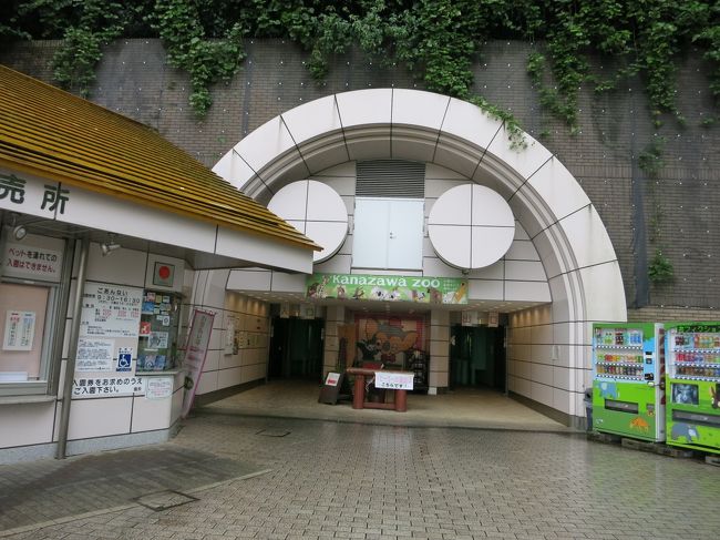 都民の日でお休みだったため、出かけることにした。都内は混むであろうとゆうことで神奈川県に・・・<br />入園料:500円、駐車料:600円<br />平日だったためか園内の売店が閉まっていて、オカピとウォンバットのぬいぐるみが買えなかった(泣)<br /><br />ガウルとゆう牛が、日本で唯一ここにただ1頭だけいるとゆう、とてもめずらしいのに全然知られていないし、宣伝もしないからひっそりとひとりぽっちでさびしい感じです。<br />ちなみに名前は「いちご」ちゃんです。ぜひいちごちゃんグッズを作ってガウル押しして欲しい!!<br /><br />横浜市立なのでしょうがないとゆうのはあるかもしれませんが、動物にとってはちょっとかわいそうな環境の動物園です。